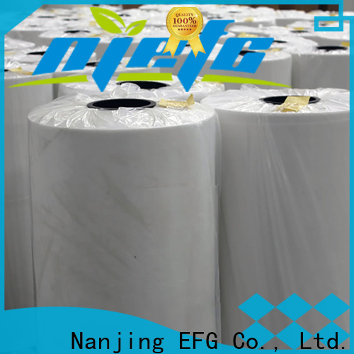 EFG polyester spunbond fabric best manufacturer for application of acoustic